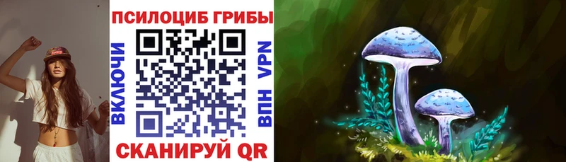 Псилоцибиновые грибы мухоморы  Купить закладки  Ивдель 